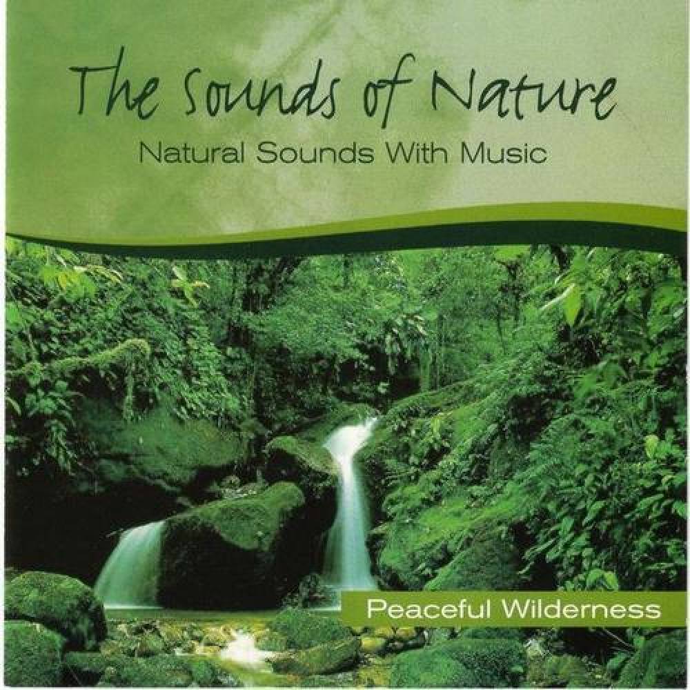 Natural Sounds: Sounds of River with Music