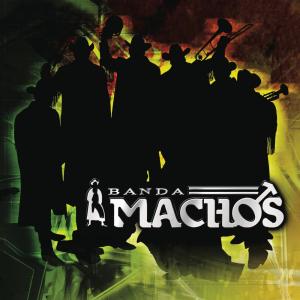 收聽Banda Machos的El Sonidito (Ruidito) (Live Version)歌詞歌曲