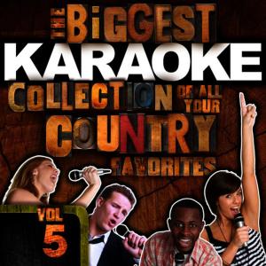 ดาวน์โหลดและฟังเพลง I Want to Be Loved Like That (Karaoke Version) พร้อมเนื้อเพลงจาก Hit Co. Masters