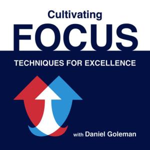 ดาวน์โหลดและฟังเพลง Body Scan พร้อมเนื้อเพลงจาก Daniel Goleman