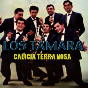 ดาวน์โหลดและฟังเพลง Galicia, Terra Nosa พร้อมเนื้อเพลงจาก Los Tamara