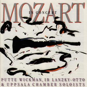 ดาวน์โหลดและฟังเพลง Quintet for French Horn and Strings in E-Flat, K. 407/386c: I. Allegro พร้อมเนื้อเพลงจาก Putte Wickman