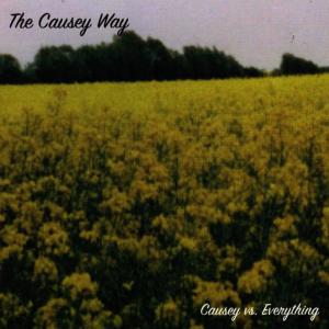 ดาวน์โหลดและฟังเพลง Take Your Chances พร้อมเนื้อเพลงจาก Causey Way