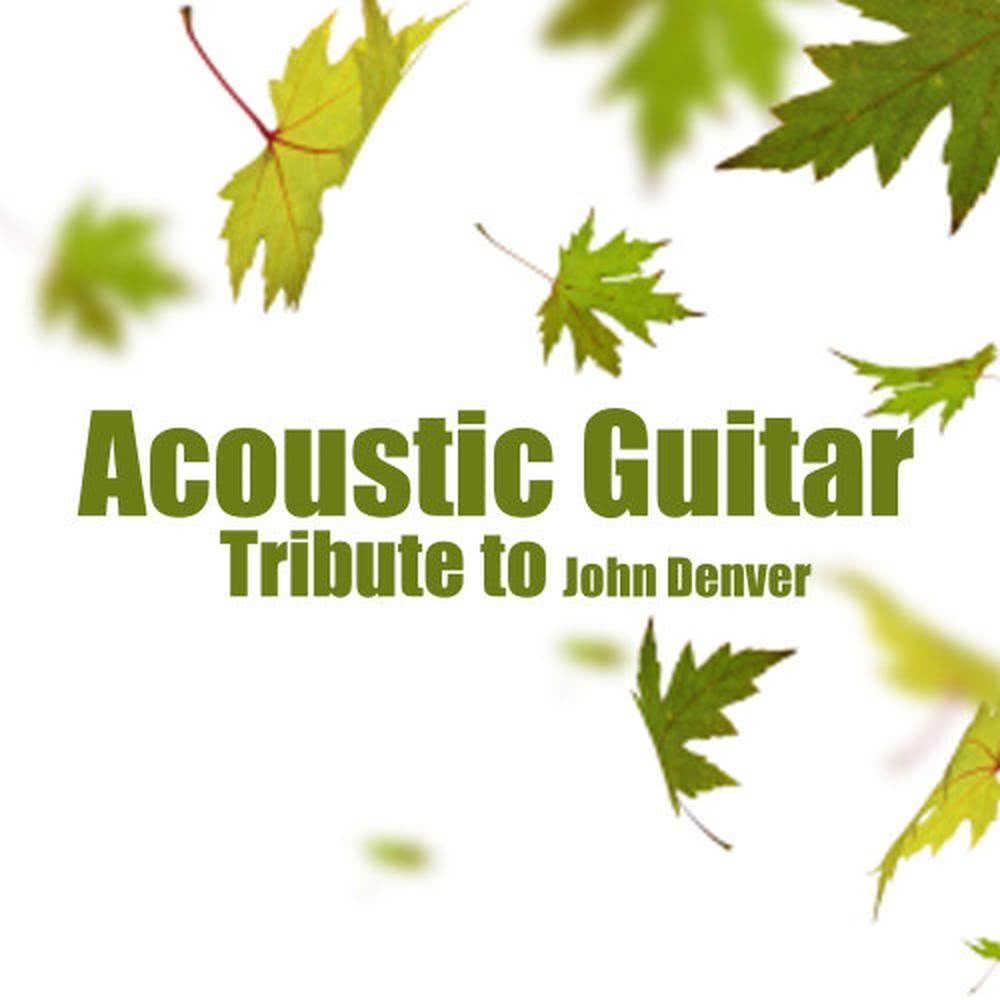 Acoustic Guitar Tribute to John Denver