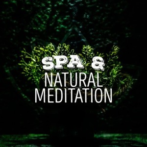 收聽Nature Spa Meditation Music的Quiet Meadow歌詞歌曲