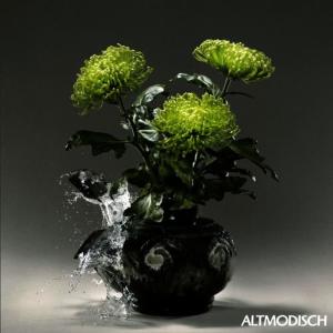 收聽Altmodisch的Far Away From Home歌詞歌曲