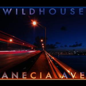 收聽Wildhouse的Downpour歌詞歌曲