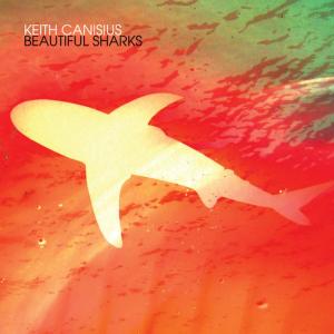 ดาวน์โหลดและฟังเพลง The Great White Shark พร้อมเนื้อเพลงจาก Keith Canisius