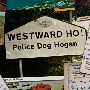 ดาวน์โหลดและฟังเพลง A Man Needs a Shed พร้อมเนื้อเพลงจาก Police Dog Hogan