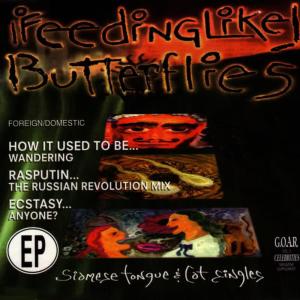 收聽Feeding Like Butterflies的Sunflower... (Acoustic Demo)歌詞歌曲