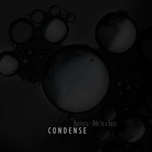 Condense的專輯Bacteria / Ode to a Boss
