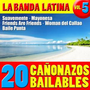 La Banda Latina的專輯20 Temazos Bailables Vol. 5