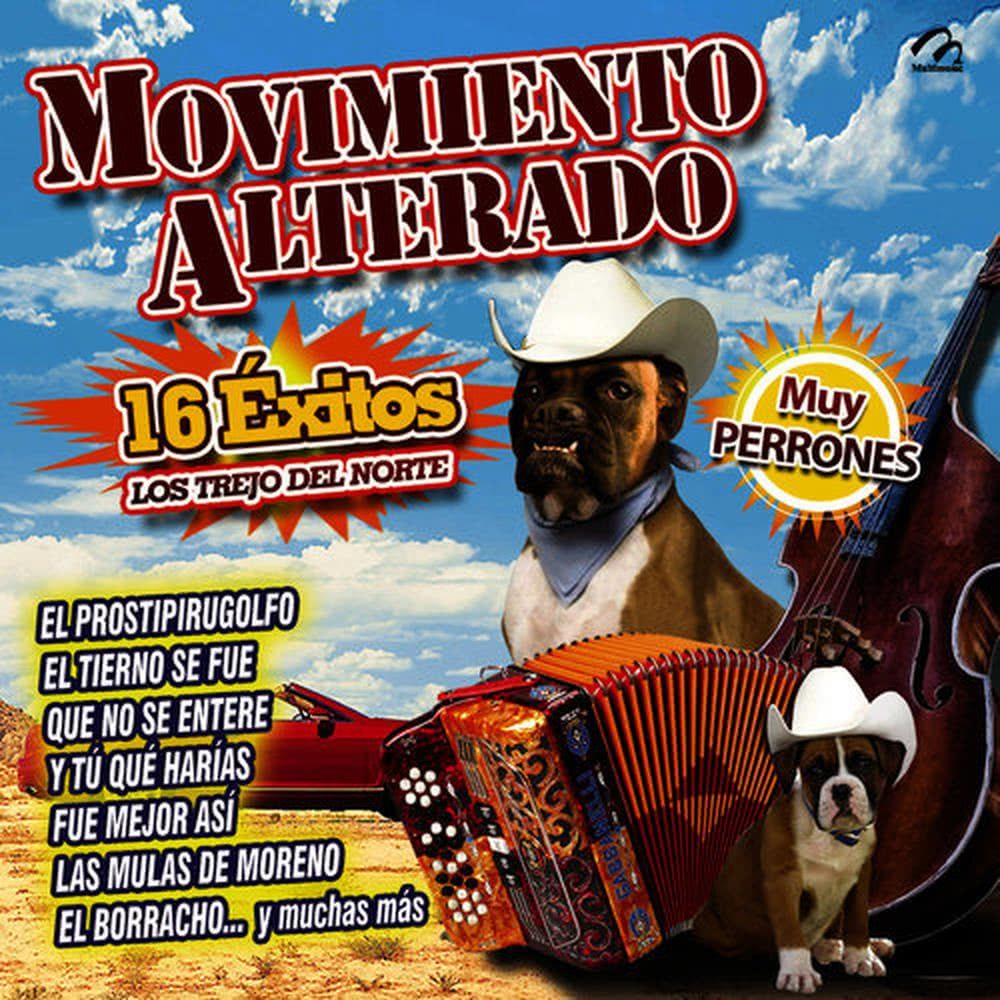 Yo Soy el Acelerado