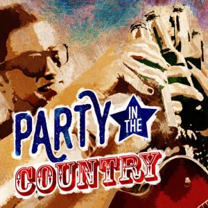 ดาวน์โหลดและฟังเพลง Come Join the Murder พร้อมเนื้อเพลงจาก American Country Hits