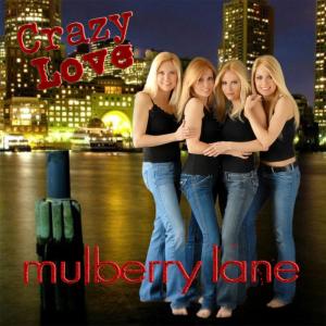 ดาวน์โหลดและฟังเพลง Crazy Love Remix พร้อมเนื้อเพลงจาก Mulberry Lane