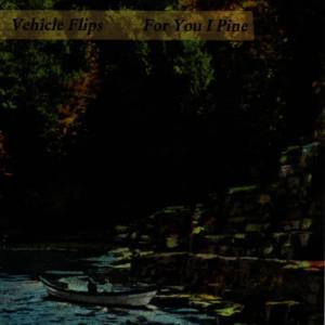 收聽Vehicle Flips的Liner Notes歌詞歌曲