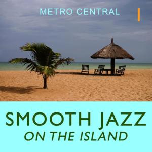 ดาวน์โหลดและฟังเพลง Riding the Waves พร้อมเนื้อเพลงจาก Metro Central