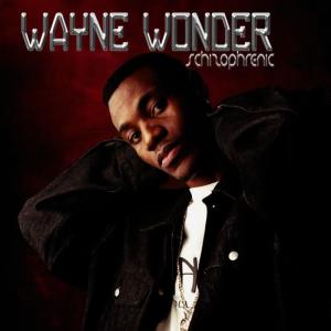 收聽Wayne Wonder的Makes Me Wonder歌詞歌曲