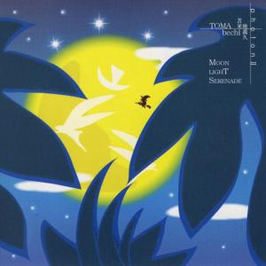 ดาวน์โหลดและฟังเพลง A Town With The Moon พร้อมเนื้อเพลงจาก 苫米地義久