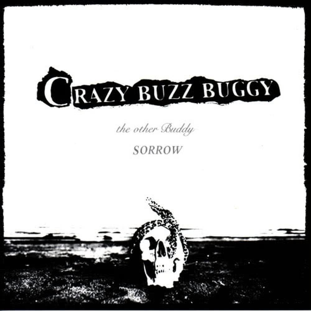 CRAZY BUZZ BUGGY - Remix 1 -