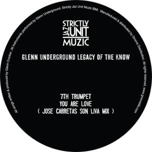 ดาวน์โหลดและฟังเพลง I Am Not In Love (CVO Slum Mix) พร้อมเนื้อเพลงจาก Glenn Underground