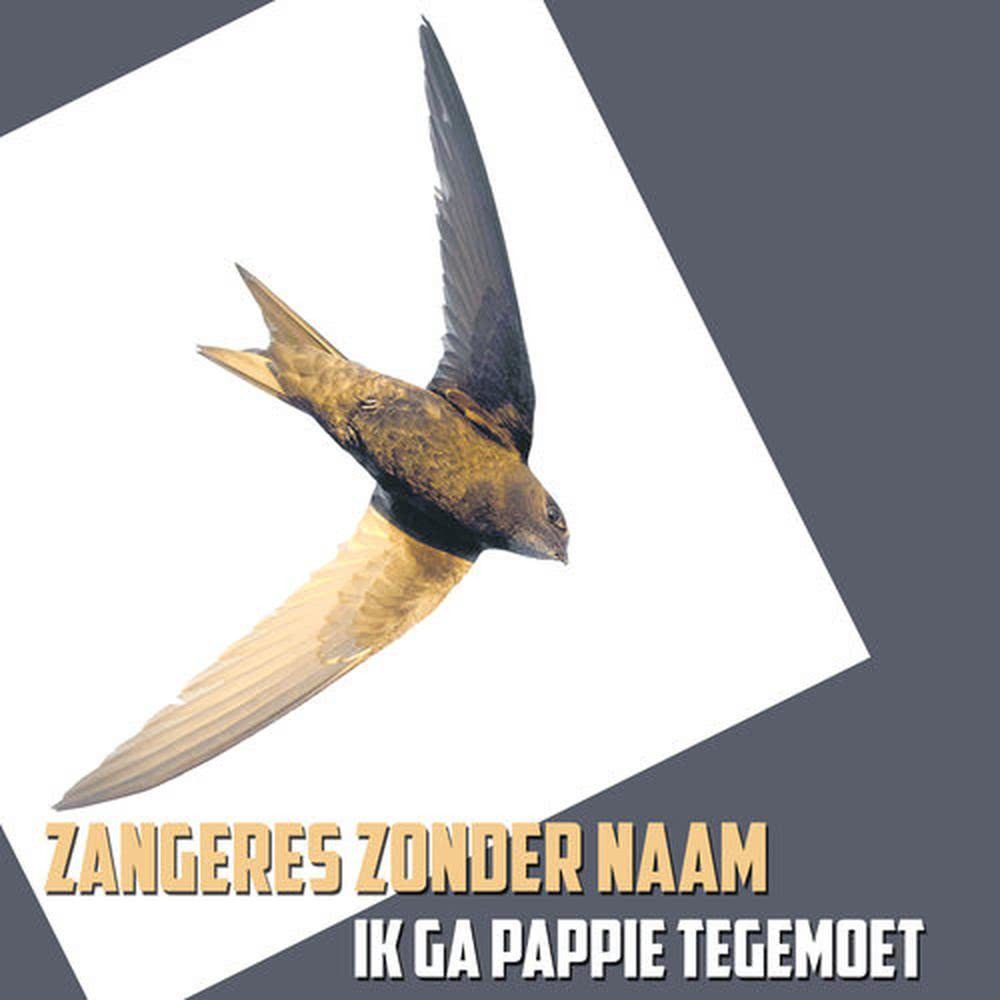 Ik Ga Pappie Tegemoet
