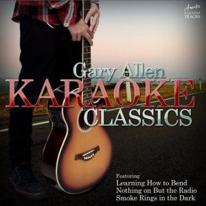 ดาวน์โหลดและฟังเพลง The One (In the Style of Gary Allan) (Karaoke Version) พร้อมเนื้อเพลงจาก Ameritz Karaoke Tracks