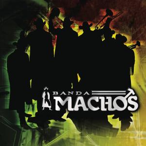 ดาวน์โหลดและฟังเพลง El Sonidito (Ruidito) (Live Version) พร้อมเนื้อเพลงจาก Banda Machos