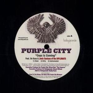 ดาวน์โหลดและฟังเพลง Copz Iz Coming (Instr.) พร้อมเนื้อเพลงจาก Purple City