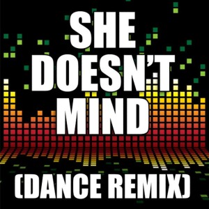 收聽Redd Stylez的She Doesn't Mind (Dance Remix)歌詞歌曲