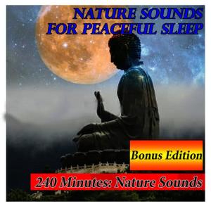 收聽Nature Sounds的Sounds of the Night: Natural Sounds for Sleep歌詞歌曲