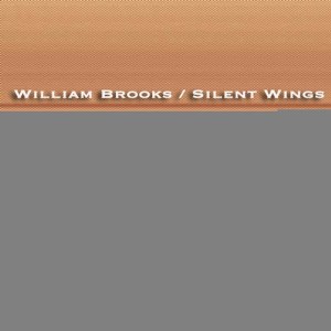 收聽William Brooks的Maybe Meagan歌詞歌曲