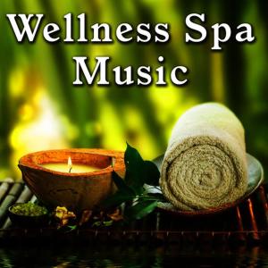 ดาวน์โหลดและฟังเพลง Musical Poetry พร้อมเนื้อเพลงจาก Meditation Spa Society