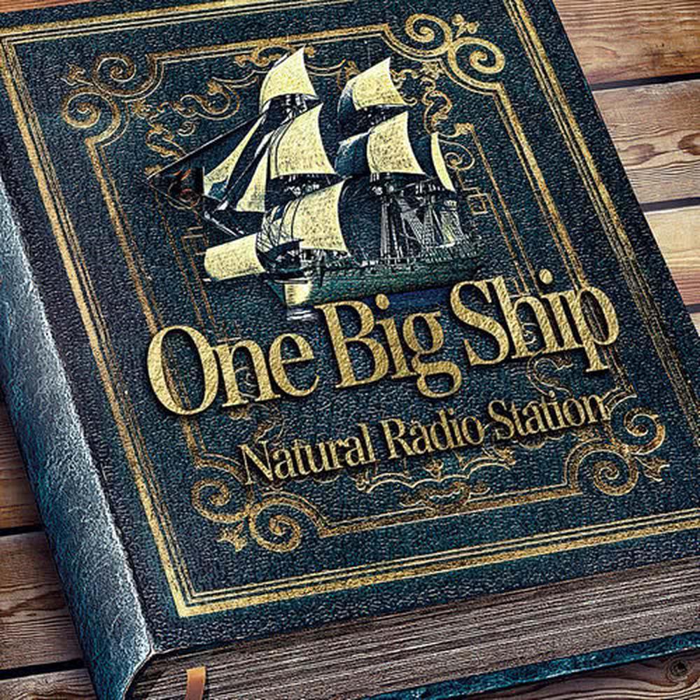 One Big Ship