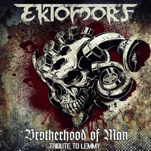ดาวน์โหลดและฟังเพลง Brotherhood of Man พร้อมเนื้อเพลงจาก Ektomorf
