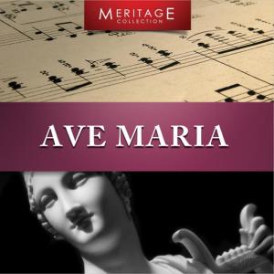 ดาวน์โหลดและฟังเพลง Ave Maria (Bach/Gounod - string quartet) พร้อมเนื้อเพลงจาก Camilli String Quartet