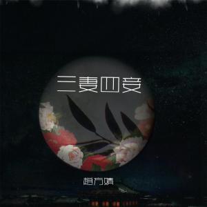 Listen to 三妻四妾 song with lyrics from 赵方婧