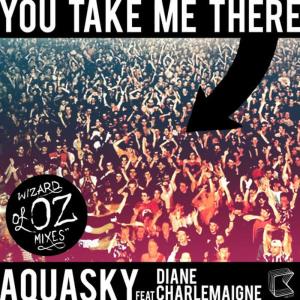 อัลบัม You Take Me There (feat. Diane Charlemagne) - Wizards Of OZ Mixes ศิลปิน Aquasky