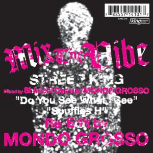 ดาวน์โหลดและฟังเพลง Do You See What I Can See (Deep Zone Main Mix: Mondo Grosso Re-Edit) พร้อมเนื้อเพลงจาก Mondo Grosso