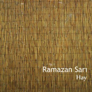 ดาวน์โหลดและฟังเพลง Ya Rabbena พร้อมเนื้อเพลงจาก Ramazan Sarı