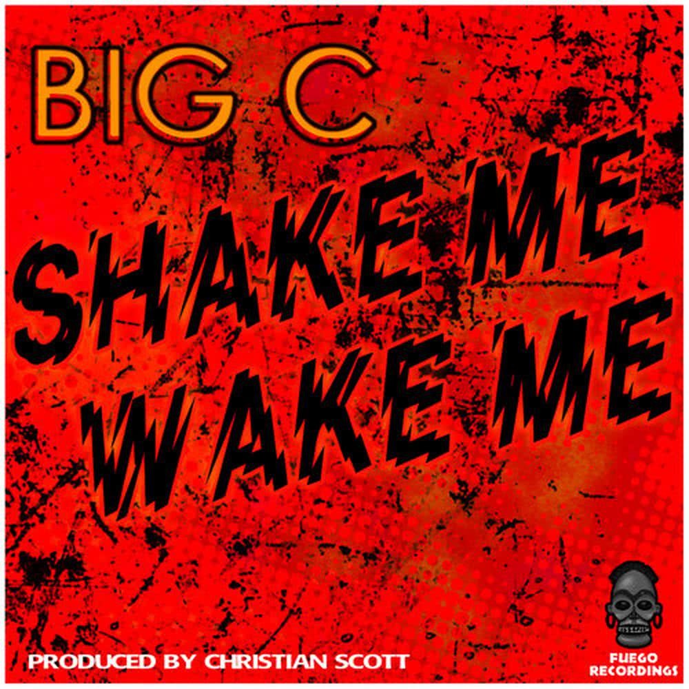Shake Me Wake Me(Instrumental Mix)