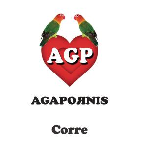 ดาวน์โหลดและฟังเพลง Corre พร้อมเนื้อเพลงจาก Agapornis