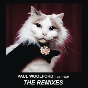ดาวน์โหลดและฟังเพลง Untitled (Call Out Your Name) พร้อมเนื้อเพลงจาก Paul Woolford
