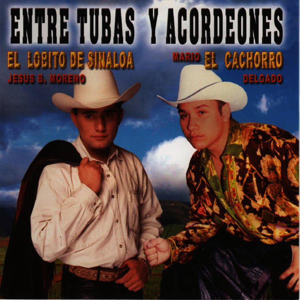 No Puedo Olvidarte