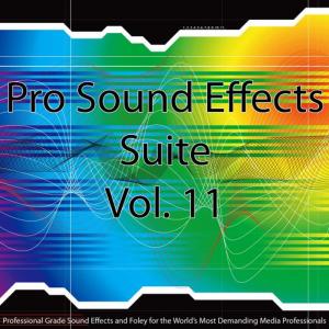 收聽Pro Sound Effects Suite的Bells, Sleigh, Jangle, Distant Sound Effect 5歌詞歌曲