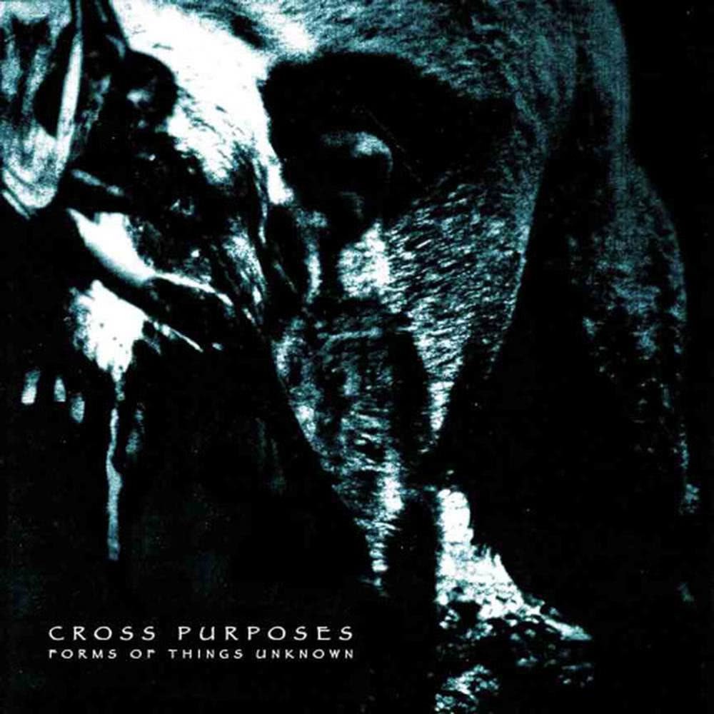 Mesozoica (bonus track)