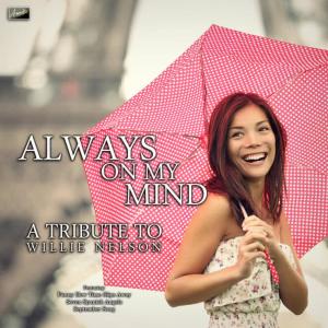 收聽Ameritz Tribute Club的Always On My Mind歌詞歌曲