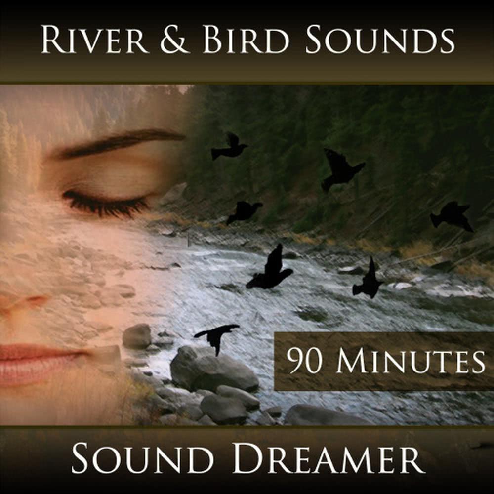 River and Bird Sounds - 90 Minutes