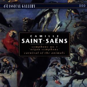 收聽Amsterdam Symphony Orchestra的Carnival of the Animals: XIII. The Swan歌詞歌曲