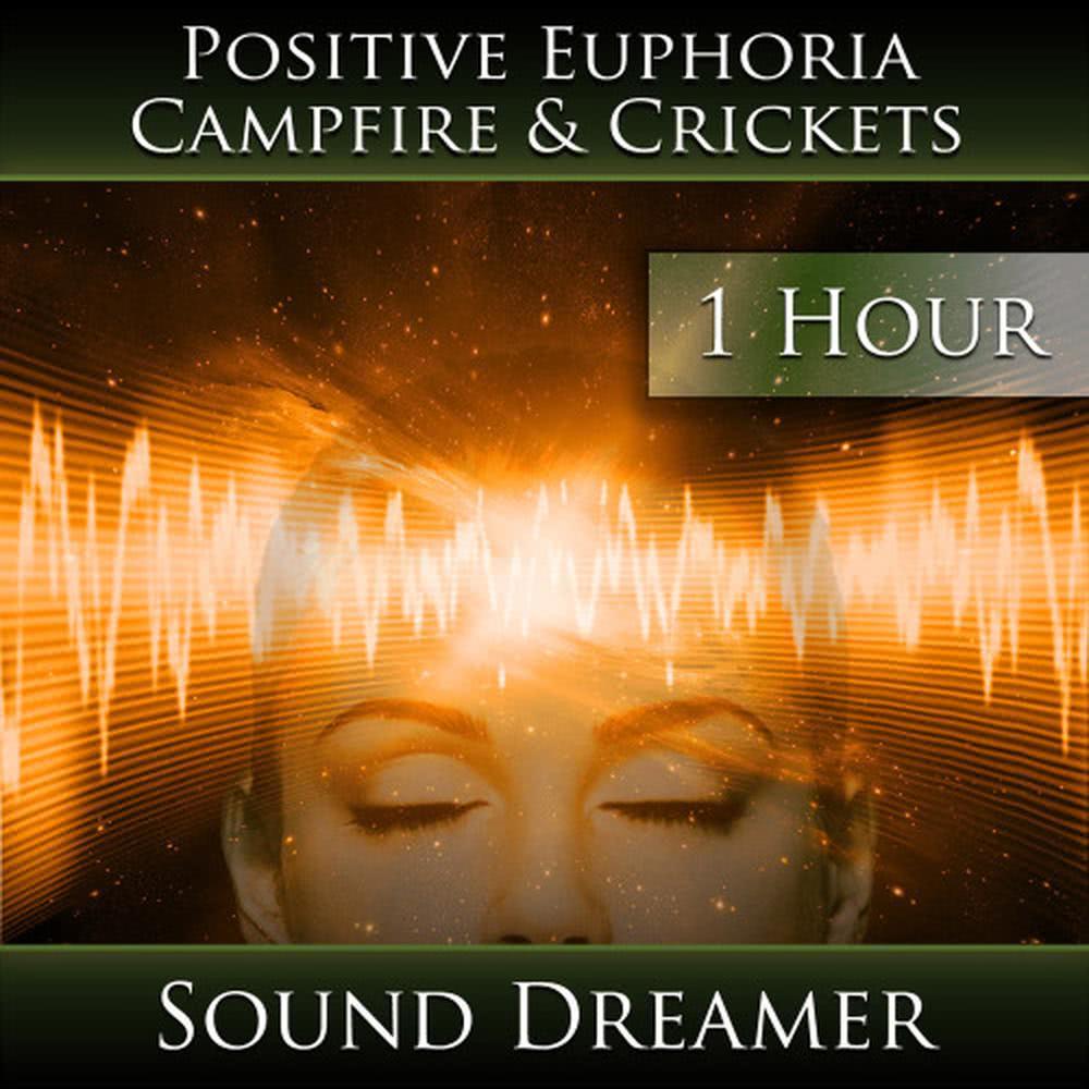 Positive Euphoria - Campfire and Crickets - 1 Hour